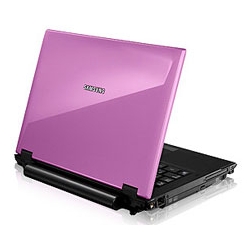  Samsung Q45 Pink T5550/2048 (1024*2)/CR6in1/160G/Super Multi LS/12,1